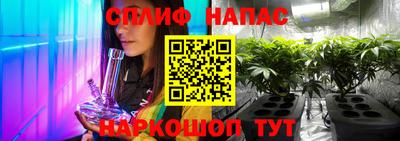 стафф Партизанск