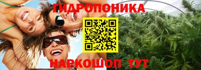 стафф Партизанск