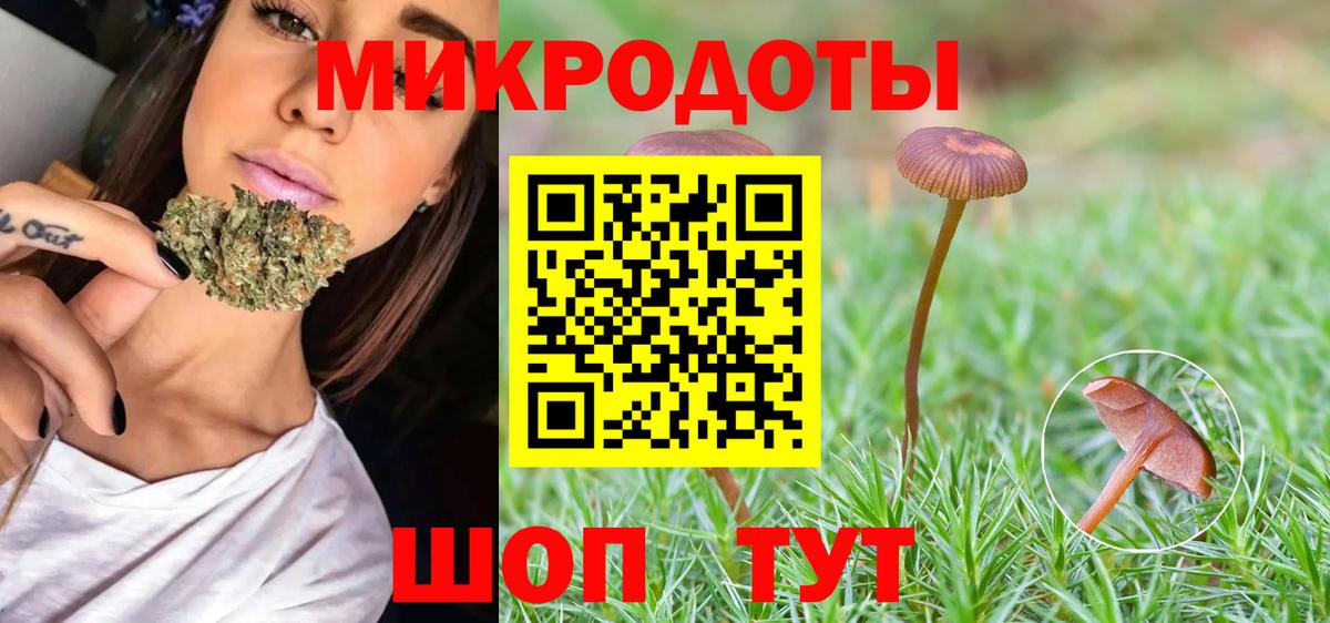 Ростов Великий  Псилоцибиновые грибы Psilocybine cubensis  Вход с VPN 